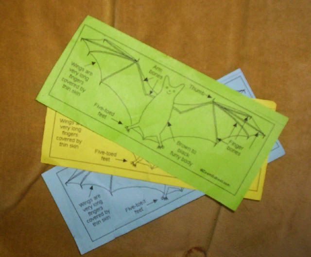 Tamora Schoeneberg Teaching Portfolio